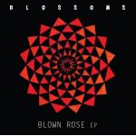 Blown Rose (10