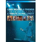 One Night in Dublin: A Tribute to Phil Lynott (DVD)