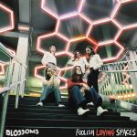 Foolish Loving Spaces (CD)