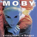 Everything is Wrong (LP)