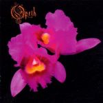 Orchid  (LP)