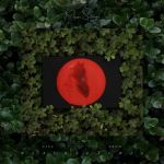 Live From Blackalachia (LP)