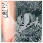 Nocturnal Birding (CD)